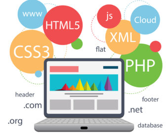 Web design infographic Web design infographic